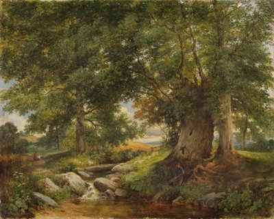 Strumień pstrągowy w pobliżu Worcester, 1866 autorstwa Henry Chaplin