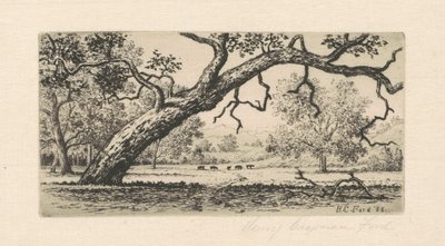 Krajobraz Kalifornii, 1888. autorstwa Henry Chapman Ford