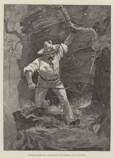 Odkrywanie rafy Banket, w Kantoor, niedaleko Barberton, De Kaap Goldfields autorstwa Henry Charles Seppings Wright