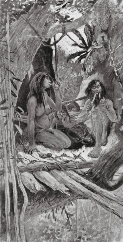 Prehistoryczni chińscy mieszkańcy drzew (litografia) autorstwa Henry Charles Seppings Wright