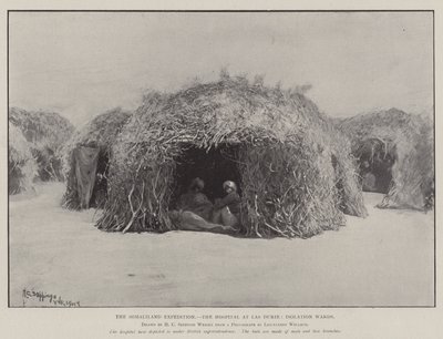 Ekspedycja Somaliland, Szpital w Las Durie, Oddziały Izolacyjne autorstwa Henry Charles Seppings Wright
