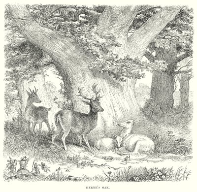 Wesołe kumoszki z Windsoru (rycina) autorstwa Henry Courtney (after) Selous