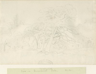 Beaudesert Park: rysunek ołówkiem, bd [1788-1855] autorstwa Henry Curzon Allport