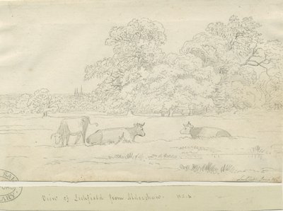 Lichfield - Widok z Aldershaw autorstwa Henry Curzon Allport