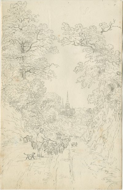 Katedra w Lichfield – widok na południowy wschód autorstwa Henry Curzon Allport