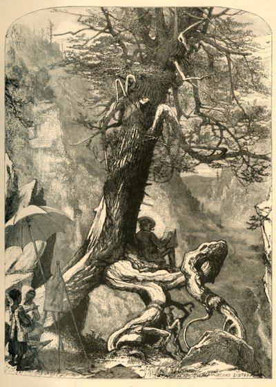 „Powyżej naturalnego mostu”, 1872. autorstwa Henry Duff Linton