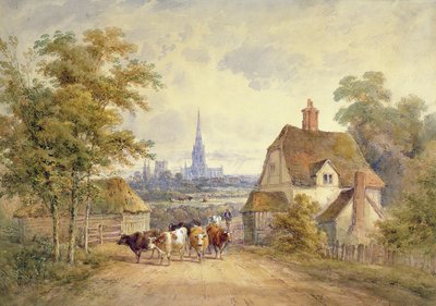 Katedra Chichester, Sussex autorstwa Henry Earp