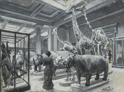 Widok wnętrza Muzeum Brytyjskiego z galerią zawierającą eksponaty zwierząt, ok. 1880 autorstwa Henry Edward Tidmarsh