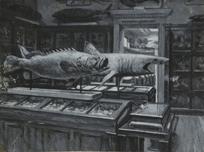 Widok wnętrza Muzeum Brytyjskiego z galerią eksponatów rybnych, ok. 1880 r. (wash & bodypainting na papierze) autorstwa Henry Edward Tidmarsh