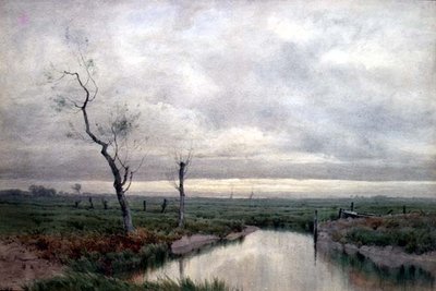 Nadmorskie bagna (akwarela) autorstwa Henry Farrer