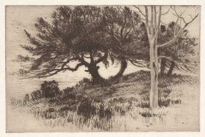 Niedaleko morza autorstwa Henry Farrer