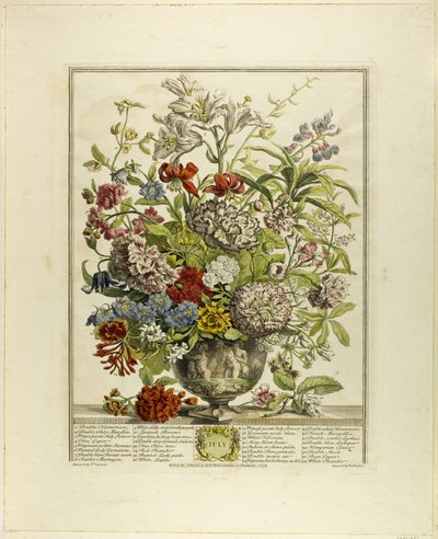 Lipiec, od Twelve Months of Flowers autorstwa Henry Fletcher