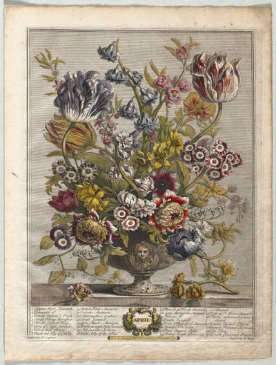 Dwanaście miesięcy kwiatów: kwiecień 1730. autorstwa Henry Fletcher