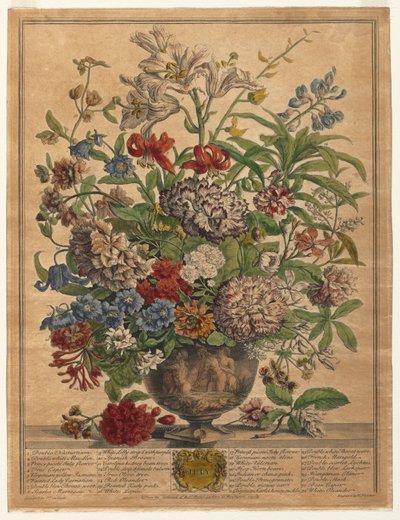 Dwanaście miesięcy kwiatów: lipiec 1730. autorstwa Henry Fletcher