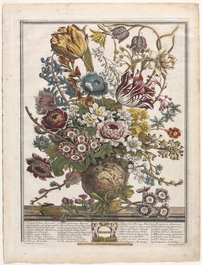 Dwanaście miesięcy kwiatów: marzec 1730. autorstwa Henry Fletcher