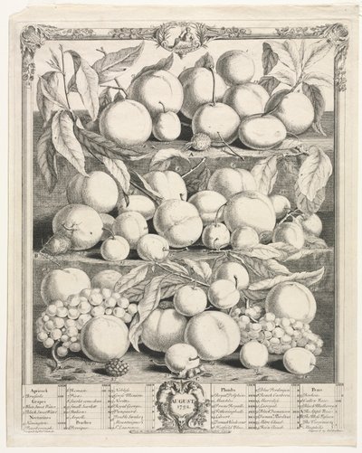 Dwanaście miesięcy owocowania: sierpień 1732. autorstwa Henry Fletcher