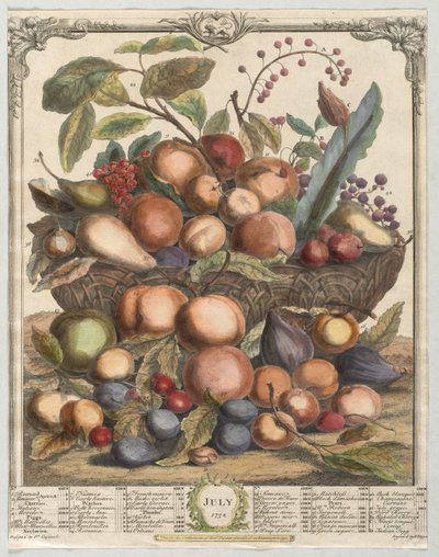 Dwanaście miesięcy owocowania: lipiec 1732. autorstwa Henry Fletcher