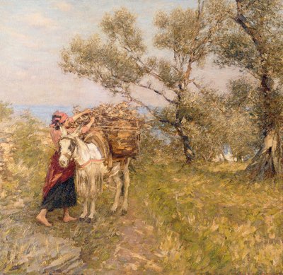 Oliwki Liguryjskie autorstwa Henry Herbert La Thangue