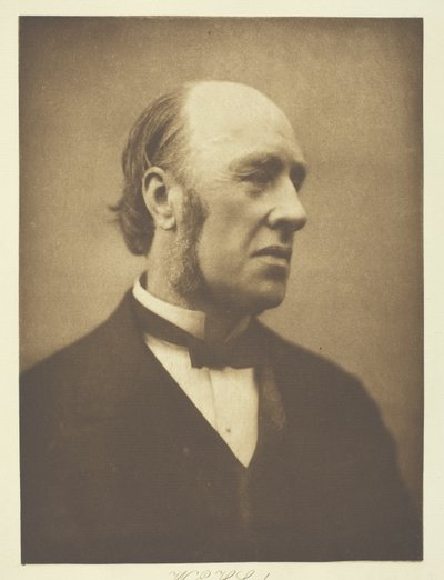 William Edward Hartpole Lecky autorstwa Henry Herschel Hay Cameron