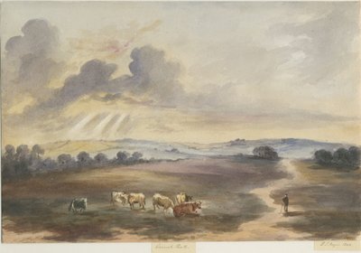 Cannock Chase - "Heath" : obraz akwarelowy, 1844 autorstwa Henry James Noyes