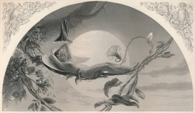 Ariel Burza, ok. 1870 r. autorstwa Henry James Townsend