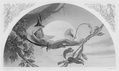 Ariel, ze zdjęcia w Królewskiej Kolekcji (rycina) autorstwa Henry James Townsend