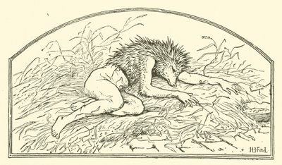 Jack mój Jeż (Grawerowanie) autorstwa Henry Justice Ford