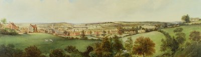 Panoramiczny widok na Stoke na Trent autorstwa Henry Lark Pratt