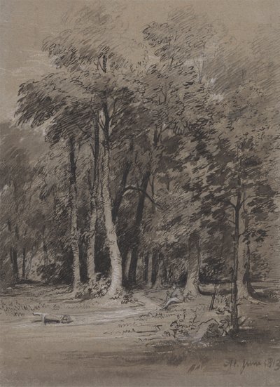 Zalesiony tor autorstwa Henry Monro