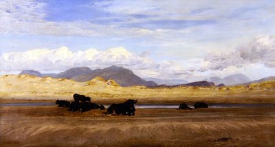 Wybrzeże Północnej Walii, bydło wygrzewające się na plaży autorstwa Henry Moore