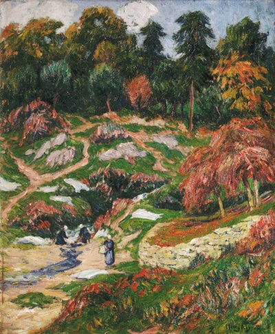 Pralnia w Doelan, Finistere; Le Levoir a Doelan, Finistere, autorstwa Henry Moret