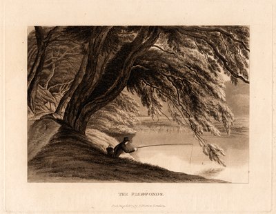 Stawy rybne autorstwa Henry Morton