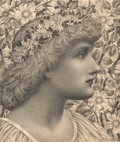 Florimel (ołówek i kreda na papierze) autorstwa Henry Ryland