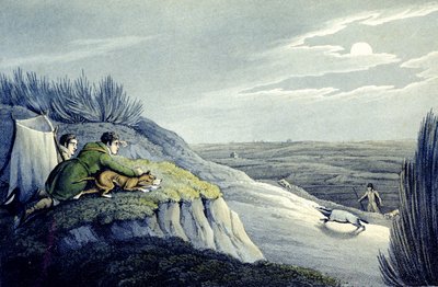 Badger Catching z National Sports of Great Britain, grawerowane przez J.H. Clarke autorstwa Henry Thomas (after) Alken