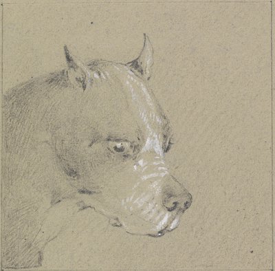 Głowa i ramiona psa boksera (grafit podwyższony bielą na papierze) autorstwa Henry Thomas Alken