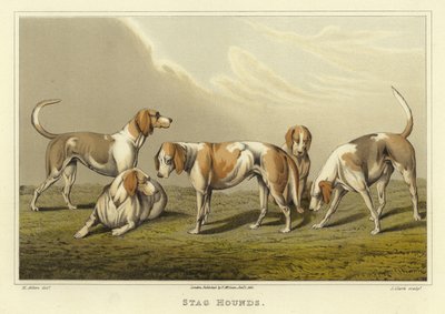 Gończe jelenie (chromolitho) autorstwa Henry Thomas Alken