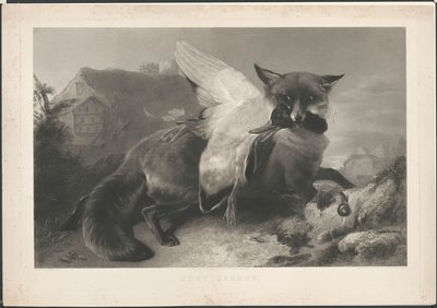 Właśnie złapany: lis ukradł kaczkę. Do R. Ausdella. Z adresem Gambarta autorstwa Henry Thomas Ryall