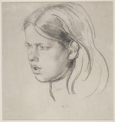 Głowa dziewczyny (kreda na papierze) autorstwa Henry Tonks