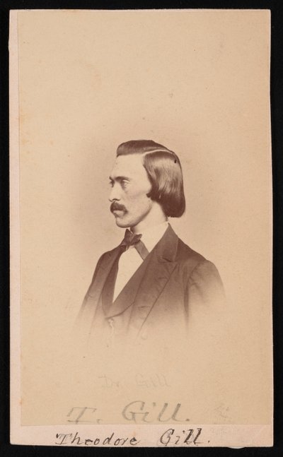 Portret Theodore Nicholasa Gilla 1837-1914, w latach 1865-1870. autorstwa Henry Ulke