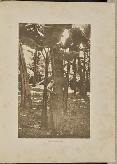 Towarzysze autorstwa Henry W. Cave