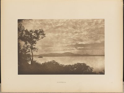 pamiątki autorstwa Henry W. Cave