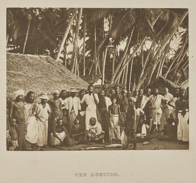 Aukcja autorstwa Henry W. Cave