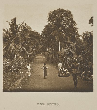 Pingo autorstwa Henry W. Cave