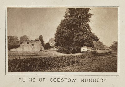 Ruiny klasztoru Godstow Nunnery autorstwa Henry W. Taunt
