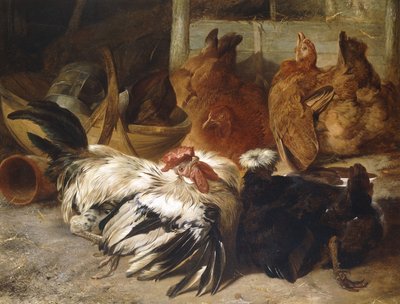 srebrnoszary kogut w kształcie plastra róży i białoczuba czarna polska z dwiema płowożółtymi kurami, autorstwa Henry Weekes