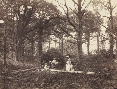 Krajobraz, 1856. autorstwa Henry White