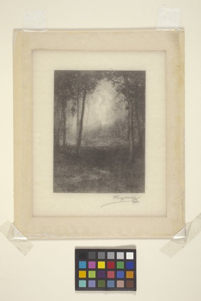 W Adirondacks (atrament) autorstwa Henry Wolf