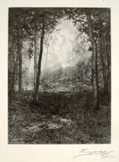 W Adirondacks autorstwa Henry Wolf
