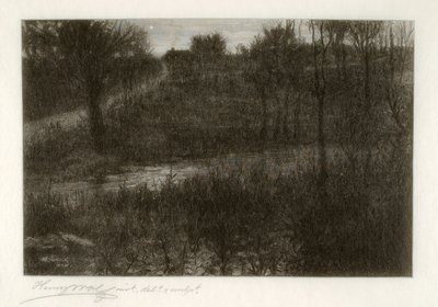 Gwiazda Wieczorna (motyw znaleziony w Catskills) autorstwa Henry Wolf