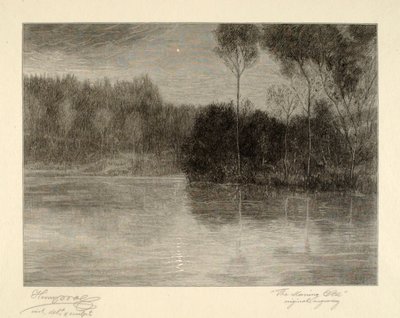 Gwiazda Poranna autorstwa Henry Wolf